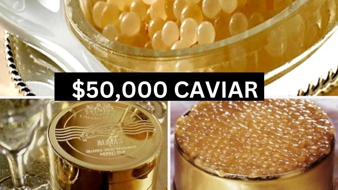 15 most expensive foods in The World 15 most expensive foods in The World