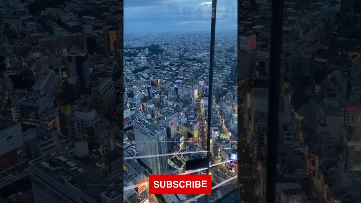 Beautiful Tokyo | Japan Best Place to Visit 2023 #travel #short #shorts #tokyo #japan