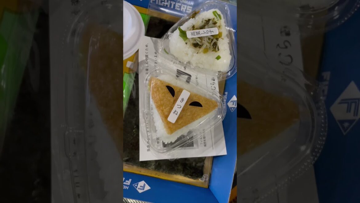 北海道が新時代へ「F VILLAGE STARTING LIVE! 2023」 #shorts 北海道が新時代へ「F VILLAGE STARTING LIVE! 2023」 #shorts