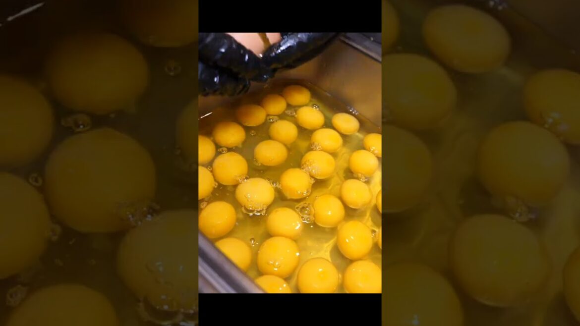 하루 250그릇씩 팔리는?! 미친 스피드 마제소바 비빔 라멘 달인 Legendary Japanese homemade ramen master #shorts 하루 250그릇씩 팔리는?! 미친 스피드 마제소바 비빔 라멘 달인 Legendary Japanese homemade ramen master #shorts