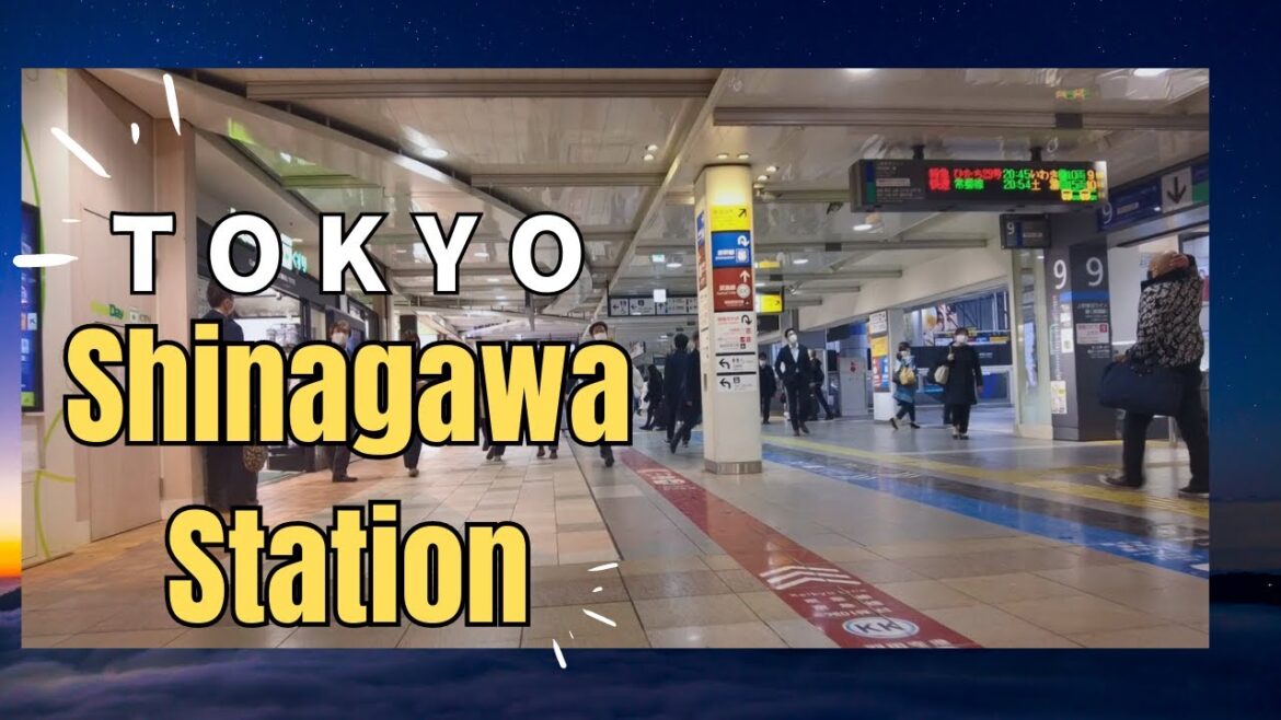 Tokyo's Shinagawa Station: A Walk Through the Heart of the City's Transit