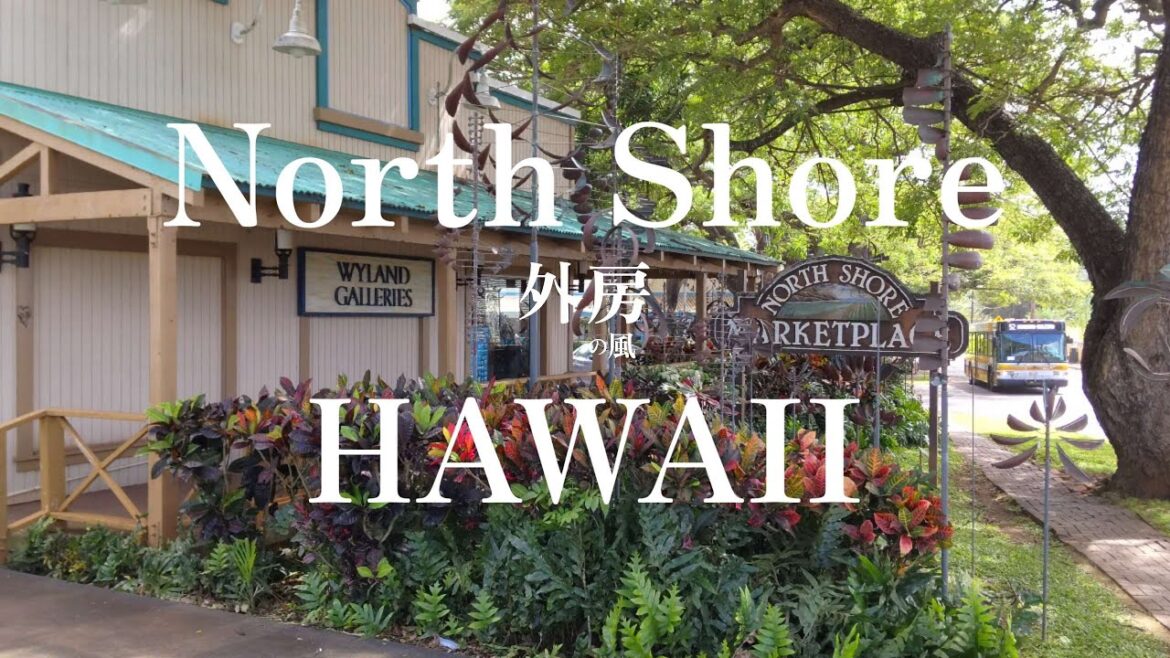 【3分間フィルム】日本男児が行く！ノースショア in HAWAII