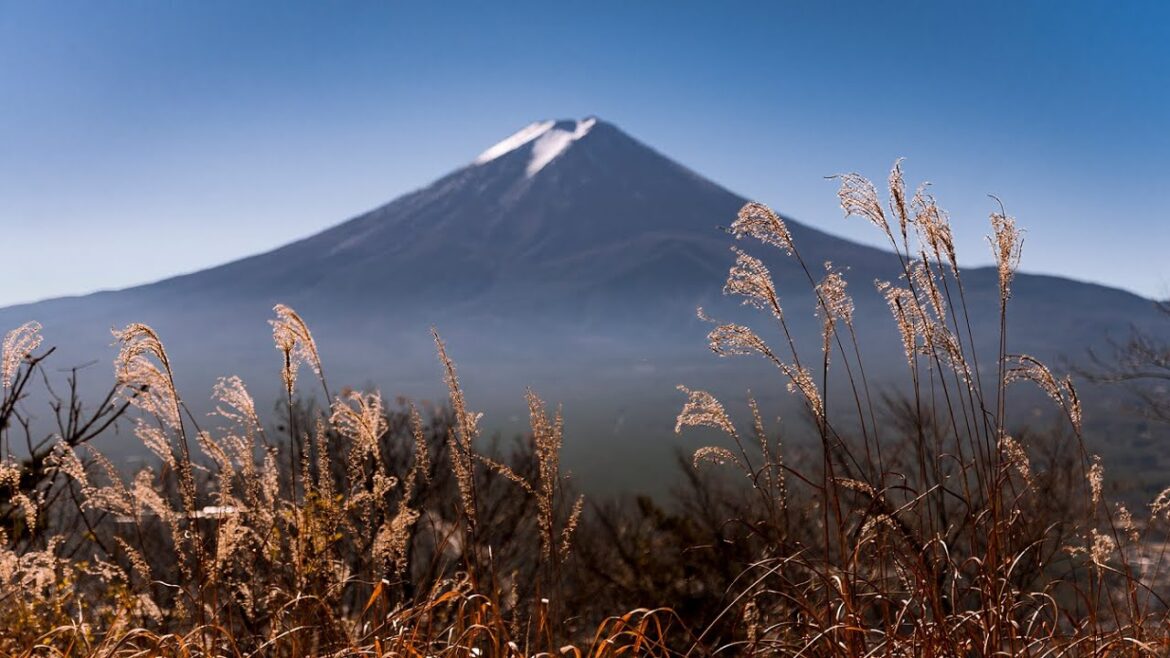 GÓRA FUJI i dziwne Japońskie historie #137