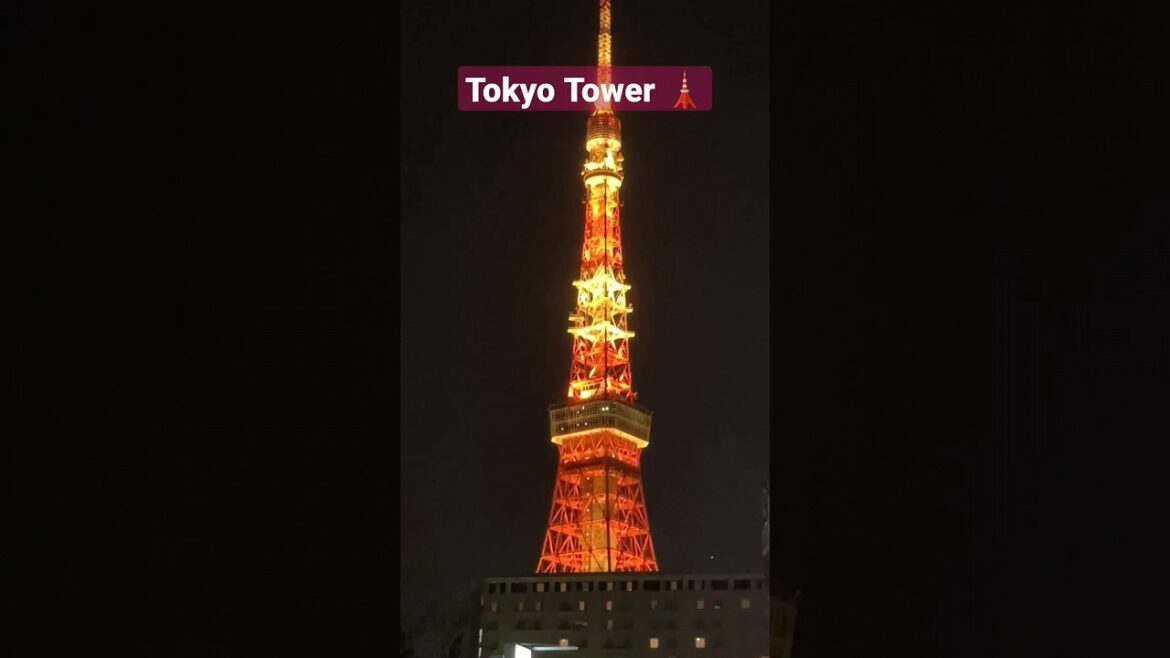 Tokyo Tower🗼Night View #tokyotower #tokyo #japan