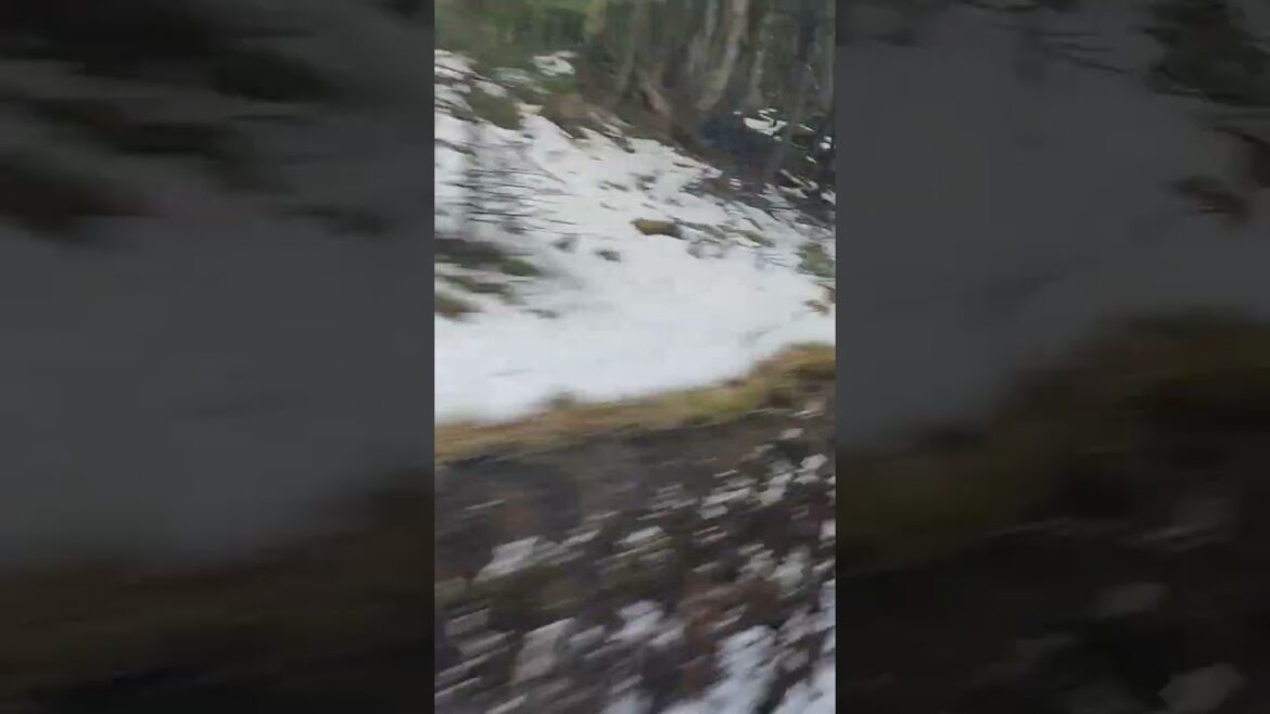 jalan menuju gunung Fuji Jepang jalan menuju gunung Fuji Jepang