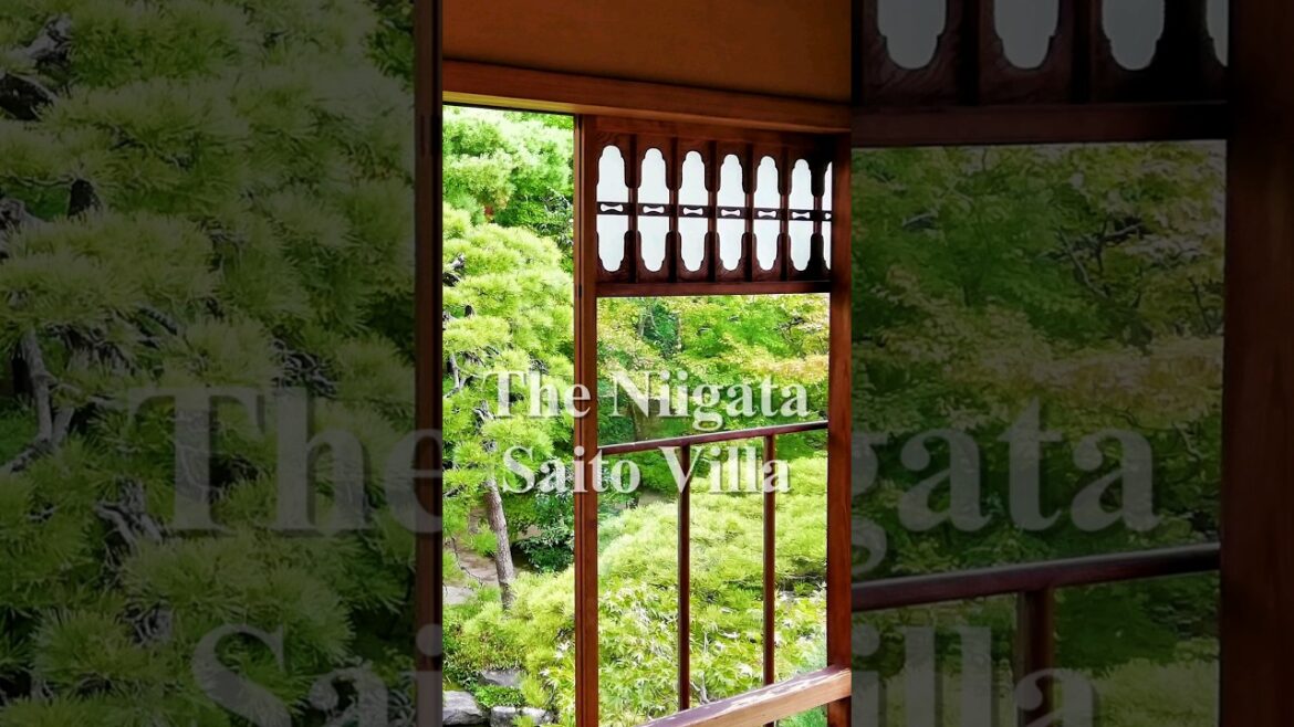 Beautiful unit of the Japanese garden and building