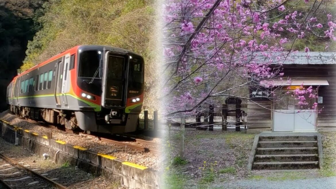 【スイッチバック秘境駅】普通列車も通過する駅|誰もいないのが逆に怖い😱静かな坪尻駅 【スイッチバック秘境駅】普通列車も通過する駅|誰もいないのが逆に怖い😱静かな坪尻駅