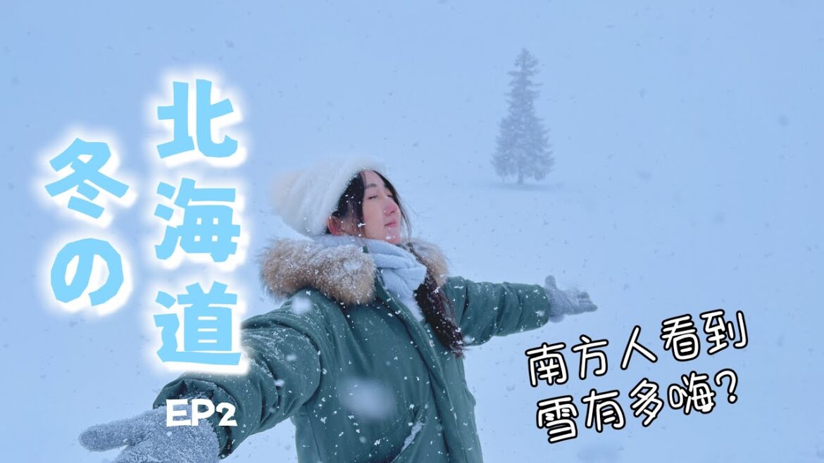 北海道旅行②| 南方人看到雪有多嗨?美瑛,青池,白须瀑布,孤独的圣诞树,Mild Seven之丘,玩雪 北海道旅行②| 南方人看到雪有多嗨?美瑛,青池,白须瀑布,孤独的圣诞树,Mild Seven之丘,玩雪
