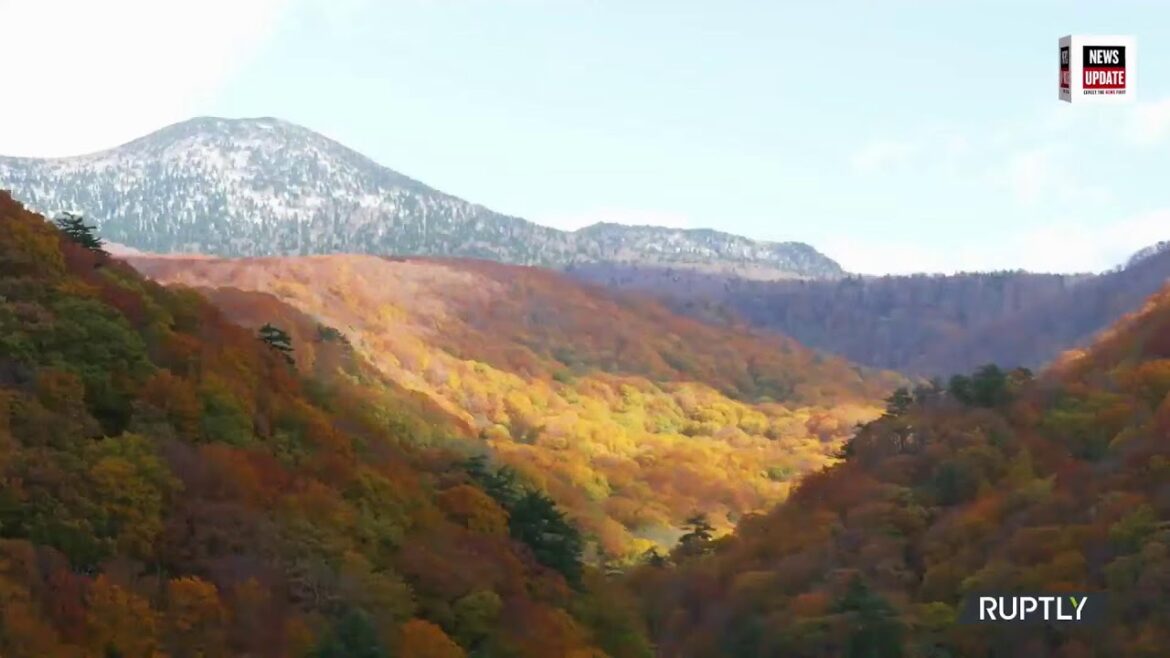 Jogakura bridge | Taking in autumn foliage from Japan's longest arched bridge | Newsupdate Live