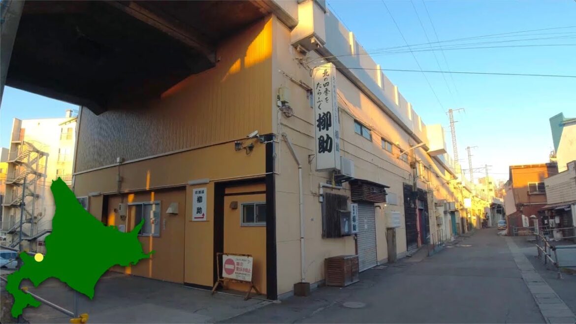 4K Walk Japan 小樽市の花園高架下商店街を散歩 2023年3月 4K Walk Japan 小樽市の花園高架下商店街を散歩 2023年3月
