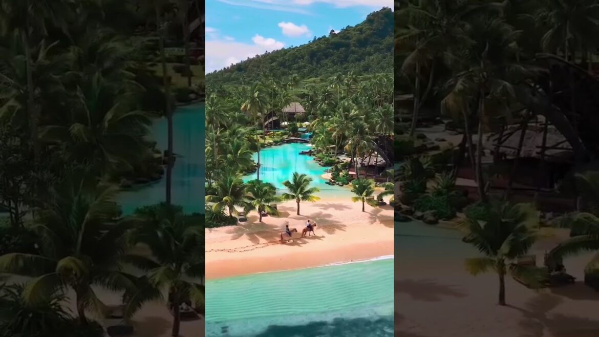 What are the top attractions to visit in Fuji? What are the top attractions to visit in Fuji?