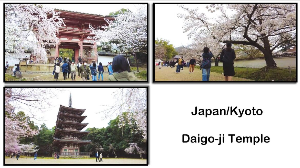 Travel Diary to "Daigoji Temple" in Kyoto | Japan📗