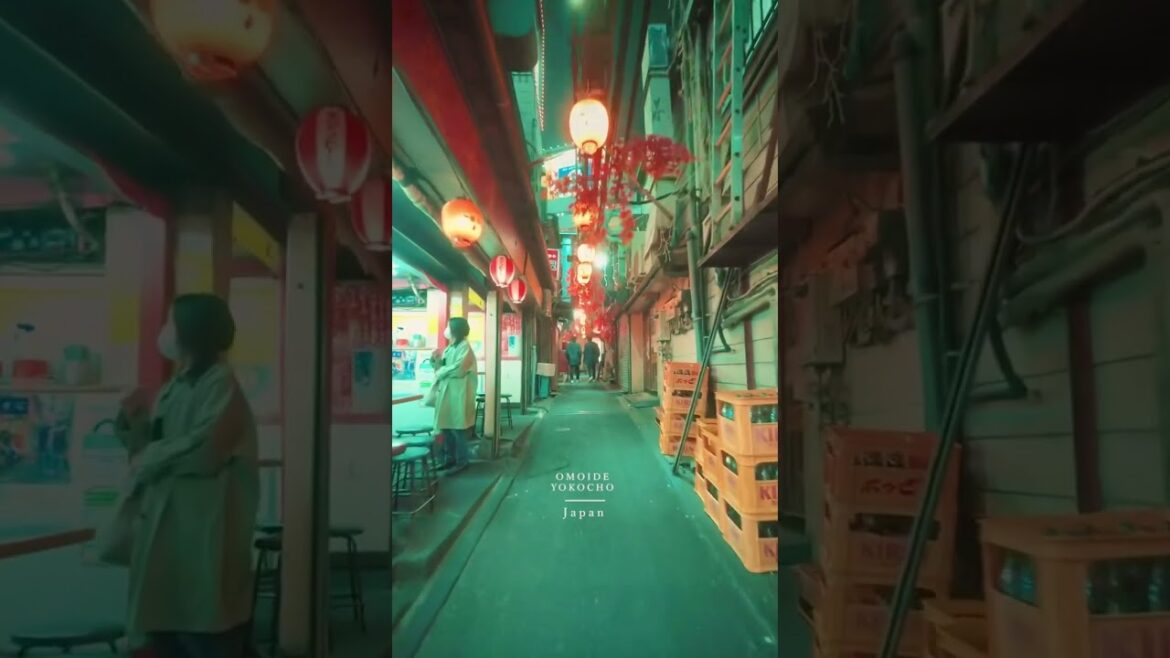 Omoide Yokocho Japan 🇯🇵 what do you think about it ? #short #shorts #travel #explore #shortsfeed Omoide Yokocho Japan 🇯🇵 what do you think about it ? #short #shorts #travel #explore #shortsfeed