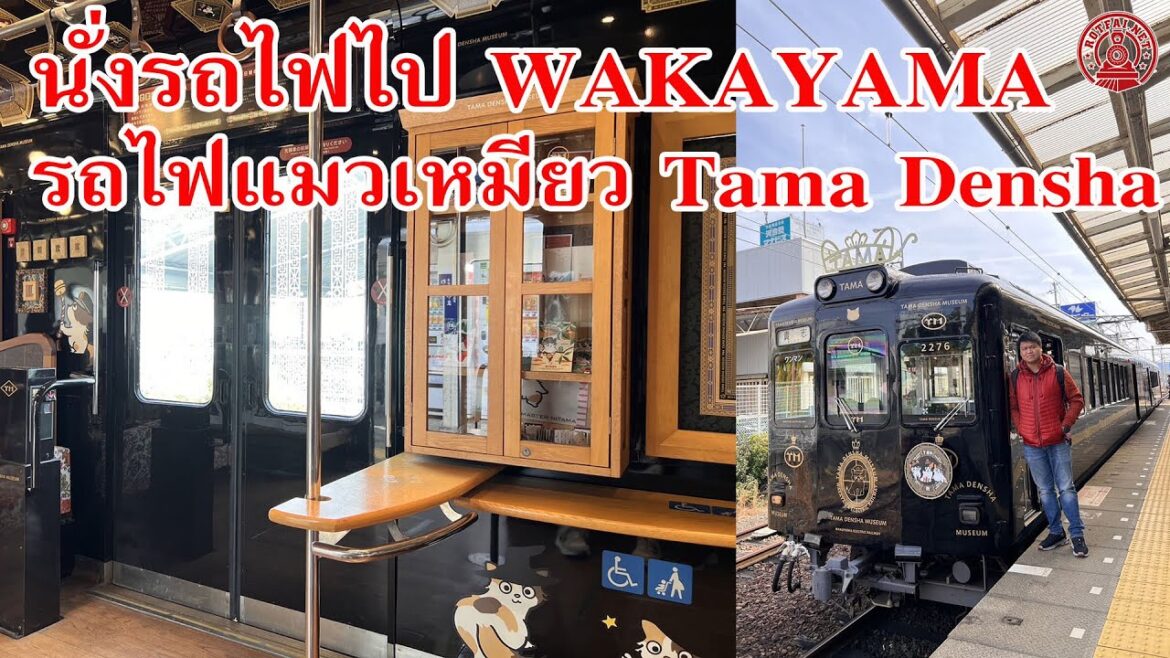 นั่งรถไฟเที่ยว Wakayama แมวเหมียว Tama Densha สาย Kishigawa นั่งรถไฟเที่ยว Wakayama แมวเหมียว Tama Densha สาย Kishigawa