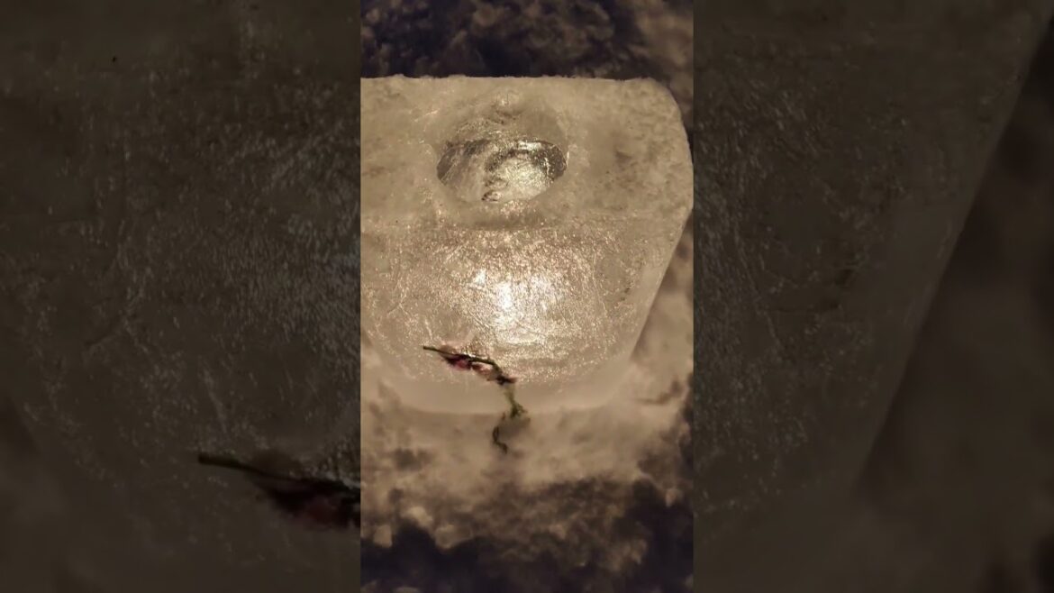 Otaru canal #hokkaido #snowfestival #snowfall #japan #oneplus