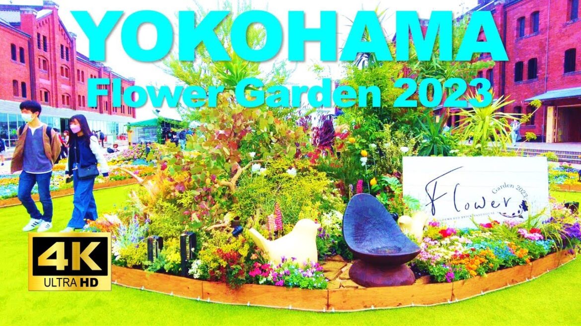 【4K🇯🇵】Yokohama Walking Tour – Flower Garden 2023 by day and night 【4K🇯🇵】Yokohama Walking Tour - Flower Garden 2023 by day and night