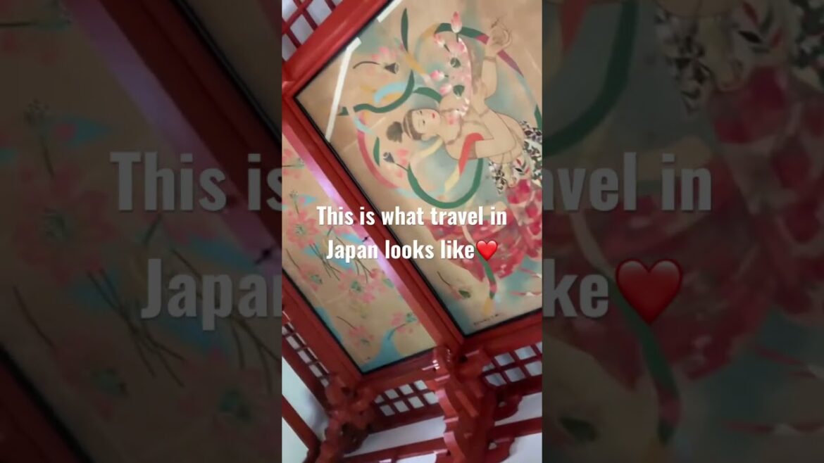 This is what travel in Japan looks like 👈 #shorts #travelinjapan #traveltips #travelshorts #tokyo