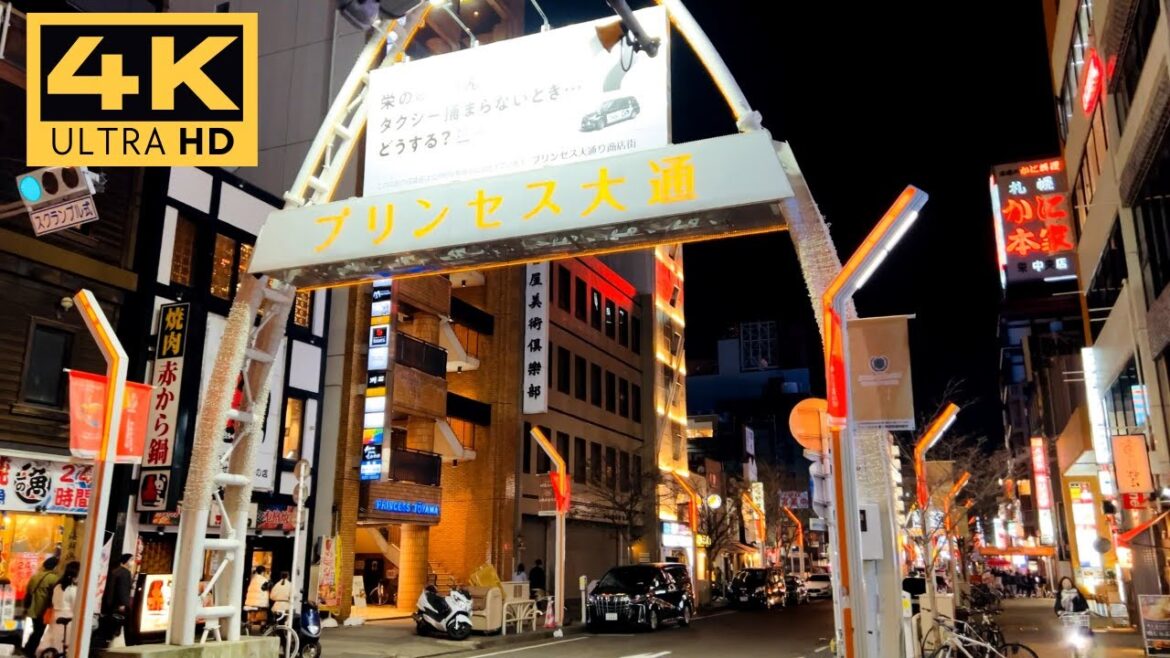 【4K HDR】Night Walk in Nagoya | Gofukucho dori | 呉服町通 【4K HDR】Night Walk in Nagoya | Gofukucho dori | 呉服町通