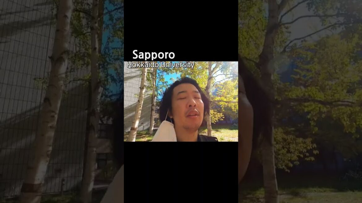 北海道大学の風景はとてもきれいですね