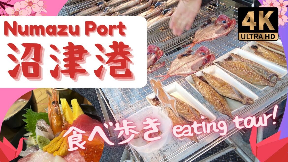 【静岡旅行】沼津魚市場🇯🇵沼津港グルメ食べ歩き😋Numazu Port gourmet eating tour! 邊走邊吃! #観光スポット #shizuoka #日本 #海鮮