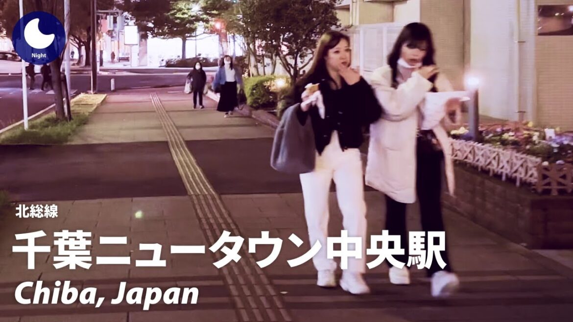 ⁴ᴷ Chiba: Chiba New Town Chuo Station (千葉ニュータウン中央駅) – Japan Walking Tour (March, 2023) ⁴ᴷ Chiba: Chiba New Town Chuo Station (千葉ニュータウン中央駅) - Japan Walking Tour (March, 2023)