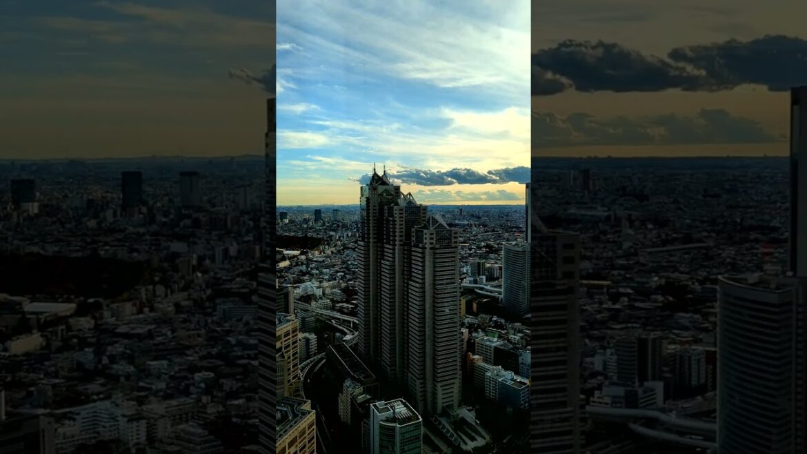 Experience the Best View of Tokyo from the Tokyo City Hall Observatory Deck #shorts