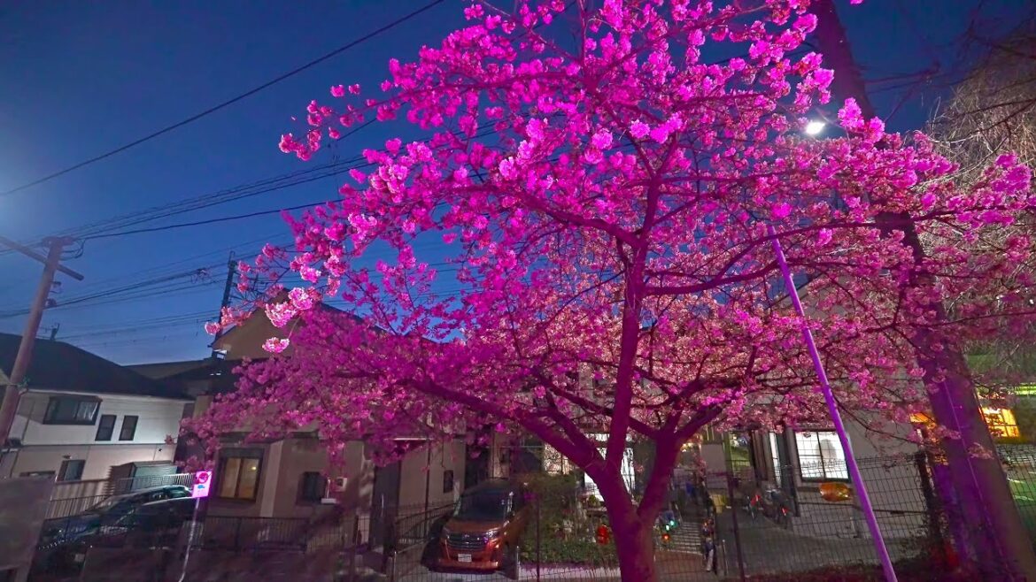 Night Japan – walking from Kanagawa to Tokyo・4K HDR Night Japan - walking from Kanagawa to Tokyo・4K HDR