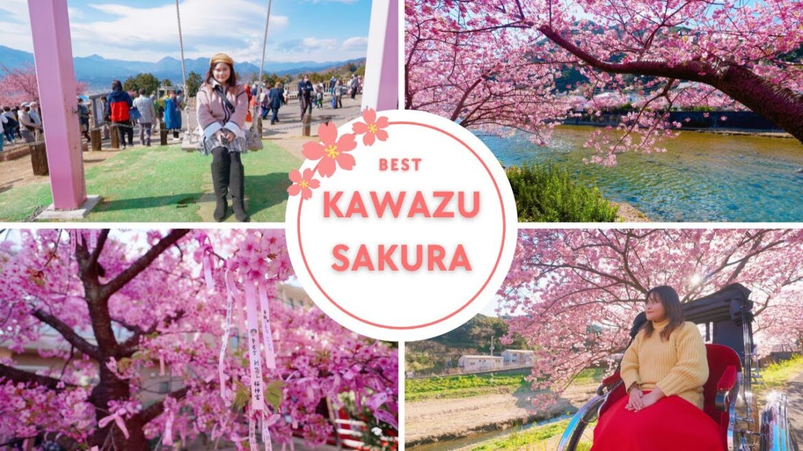 🌸 Best Places to See Kawazu Sakura: The Ultimate Guide 🌸 🌸 Best Places to See Kawazu Sakura: The Ultimate Guide 🌸