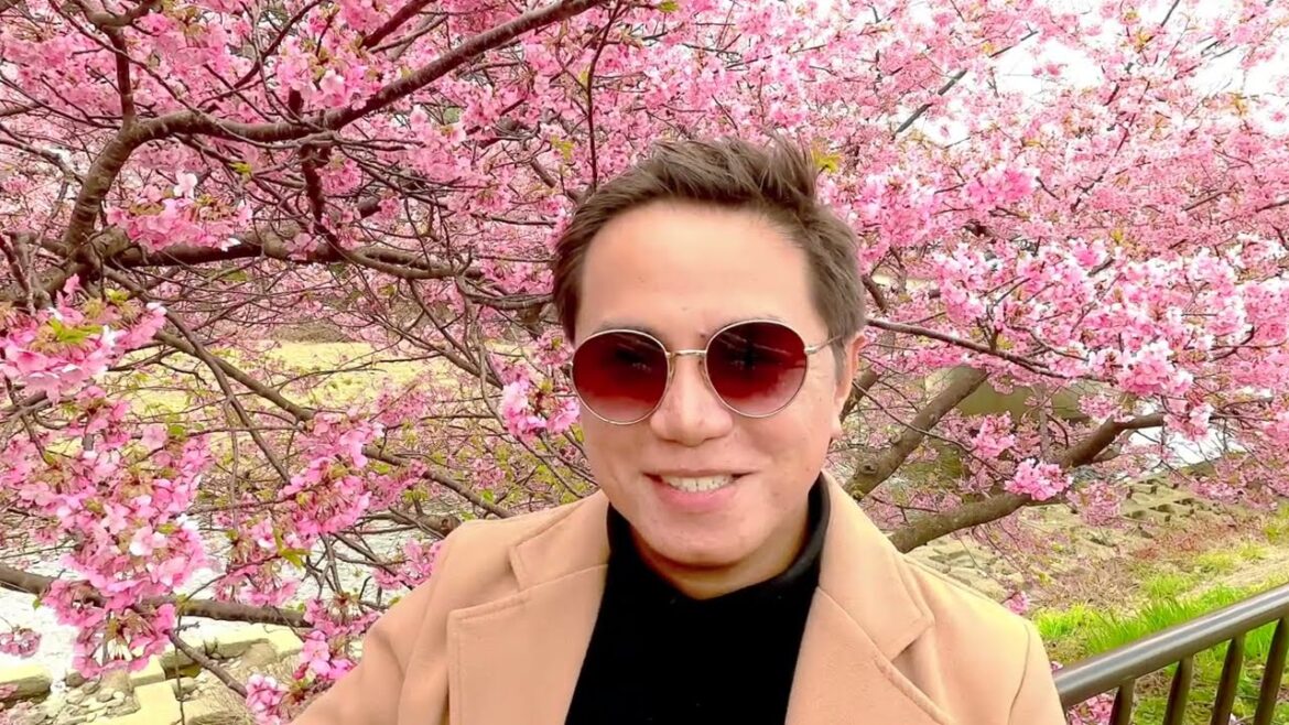 EARLIEST CHERRY BLOSSOMS!