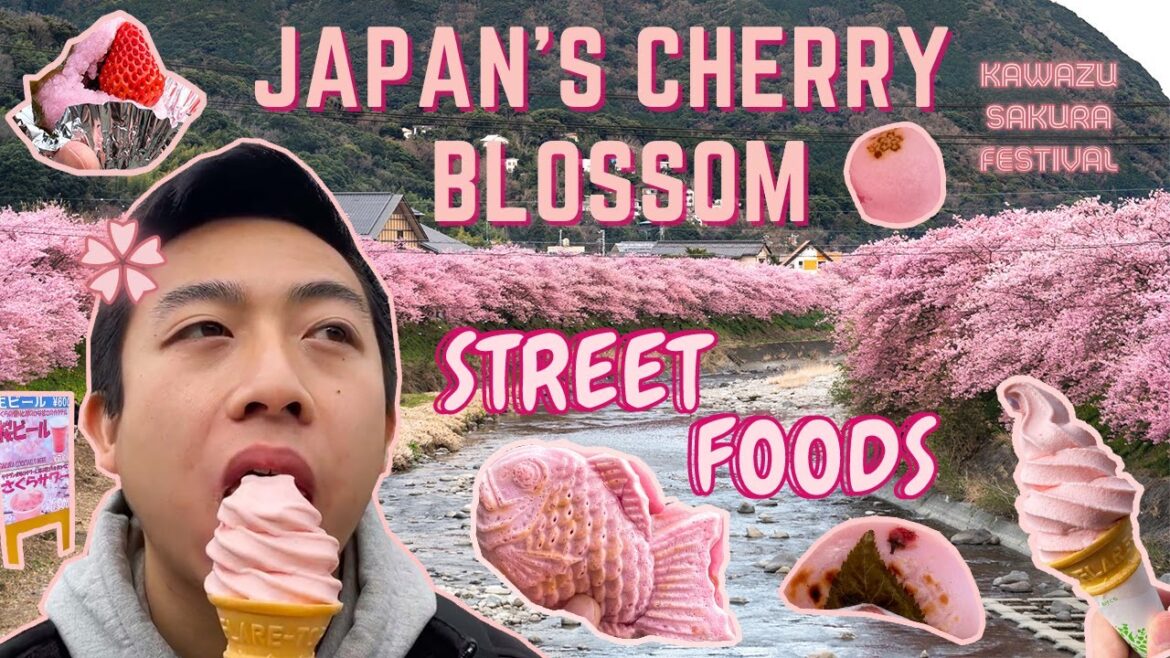 Eating ONLY PINK STREET FOOD at a CHERRY BLOSSOM FESTIVAL in JAPAN - Early Blooming Kawazu Sakura