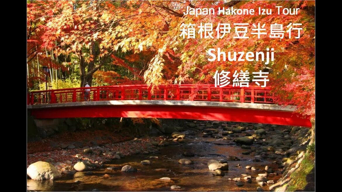 Japan Hakone Izu Tour - Shuzenji (日本箱根伊豆半島行-修繕寺)