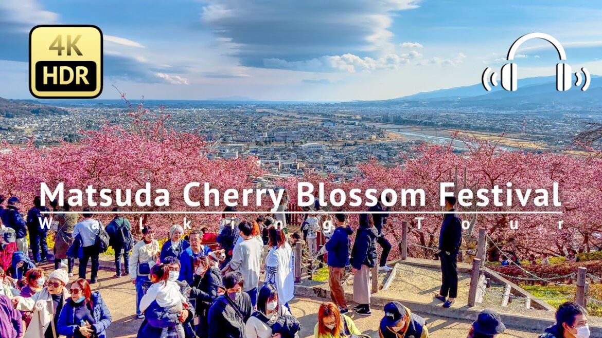 Matsuda Cherry Blossom Festival Walking Tour - Kanagawa Japan [4K/HDR/Binaural]