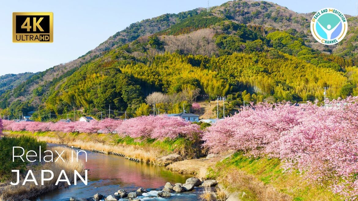 Relax in Japan 4K - Relaxing Music Video that Features the Beauty of Japan in 30 minutes