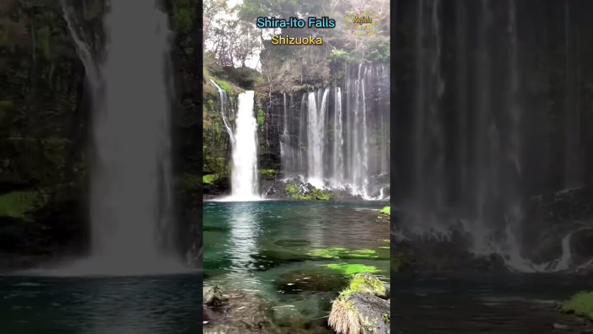 Shizuoka Shira-Ito #japantravel #shizuoka #trip #dulich