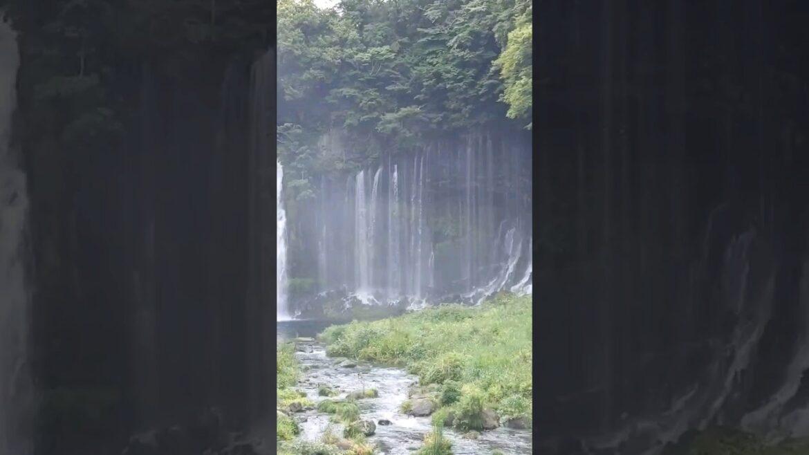 "Stunning Waterfalls in Shizouka Japan - A Breathtaking Adventure". #shorts #japan #japantravel