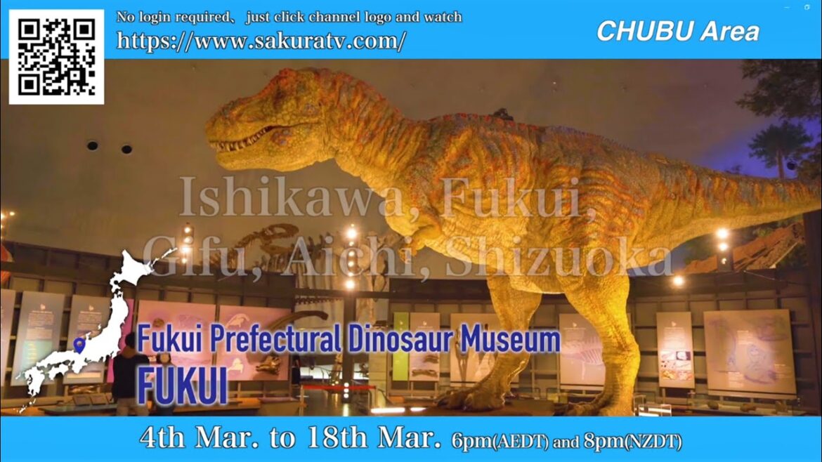 Travelling to Japan, see another side of Japan at sakuratv.com Streaming TV service free 24/7 Travelling to Japan, see another side of Japan at sakuratv.com Streaming TV service free 24/7