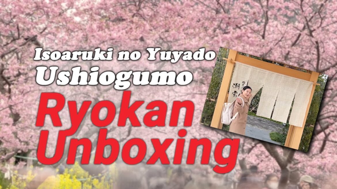 Ushiogumo Ryokan: Stay near the cherry blossoms in Kawazu, Izu! (Hotel Unboxing) - LIVE JAPAN