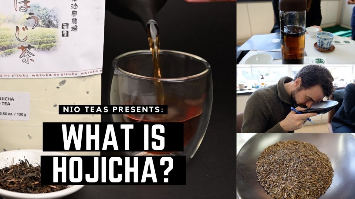 What is Hojicha? How Hojicha Tea is Made and What it Tastes Like