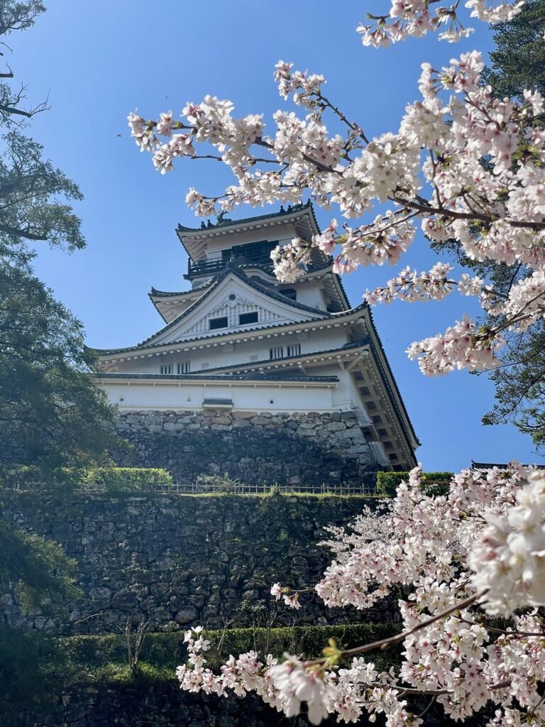 Kochi Castle