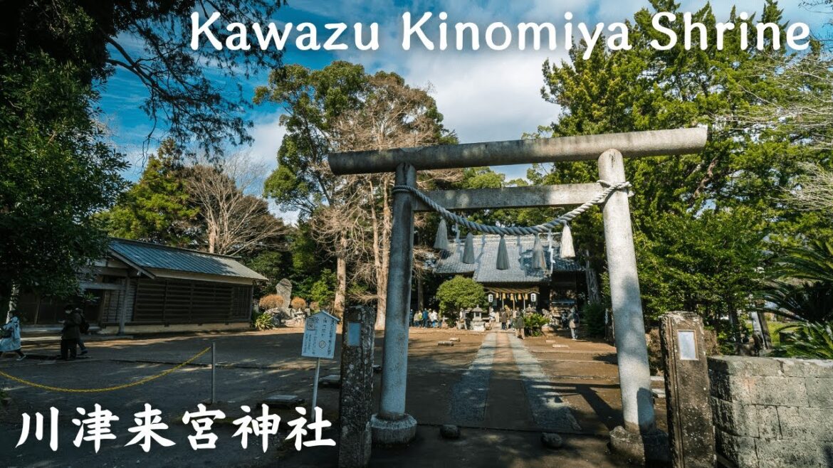 【4K】川津来宮神社 – Kawazu Kinomiya Shrine / Walking tour / Japan 【4K】川津来宮神社 - Kawazu Kinomiya Shrine / Walking tour / Japan