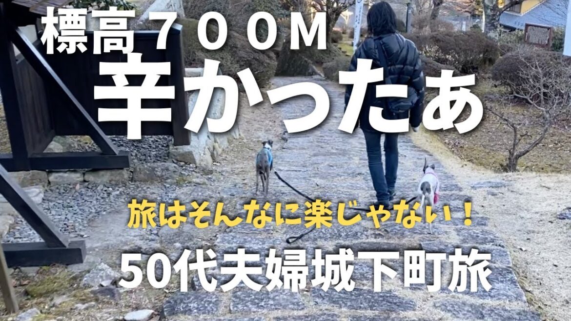 【50代夫婦旅行Vlog】10キロ減のダイエットに成功した中年夫婦が標高700mの山城登頂？に挑戦するとこんな感じになります。真面目にキツかったです💦【岩村城】【激安キャベツ】