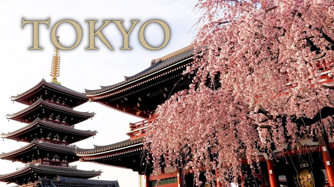 【Cherry blossoms】 Cherry blossom season has finally come in Downtown TOKYO.  東京で桜のシーズンが始まる