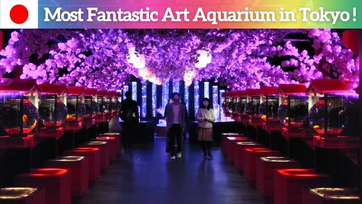 【Tokyo Art Aquarium】One of The Most Fantastic Spots in Tokyo! - Art Aquarium Museum Ginza