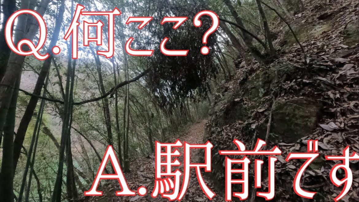 登山中??いいえ、駅前通りです…。化け物レベルの秘境駅潜入！[秘境駅まで運転(と徒歩)してみたシリーズ第三弾！