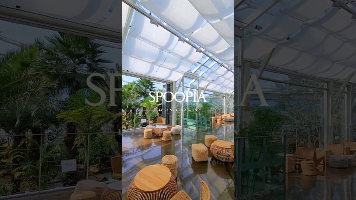 카페인가? 식물원인가? 요즘 핫플레이스로 급상승 중인 부천 수피아  #국내여행 #국내여행추천 #국내여행지추천 #여행지추천 #여행유튜버 #봄여행 #수피아