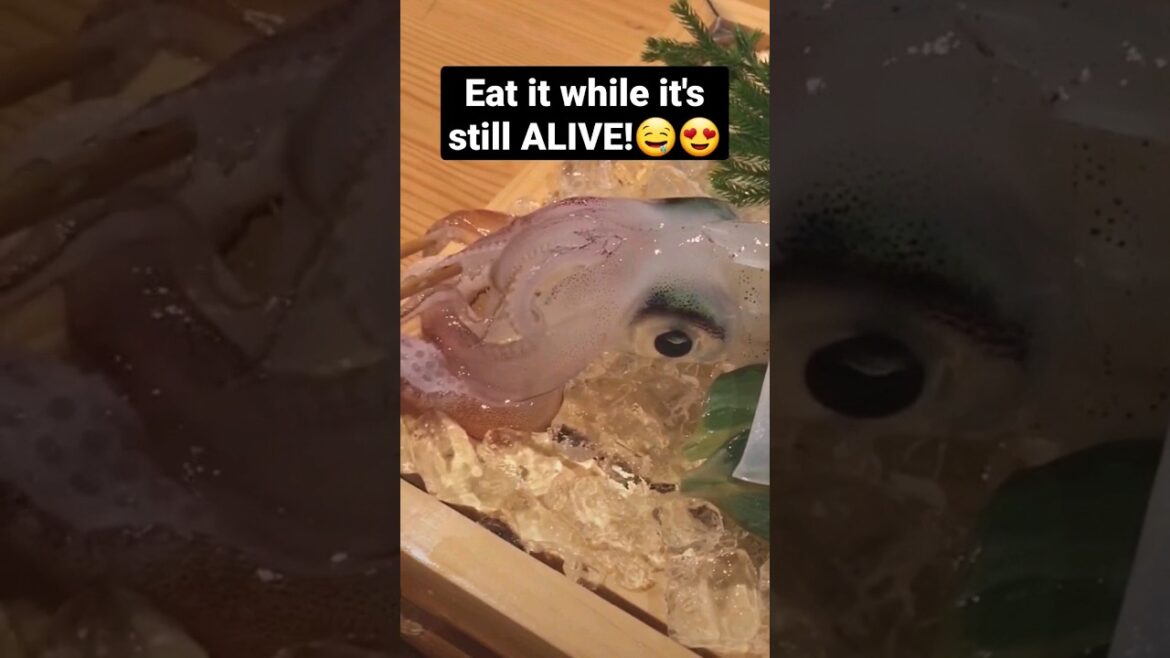 Next level fresh Squid and Octopus. Dishes only in Japan🤤🇯🇵⛩️ #japan #japantravel #youtube