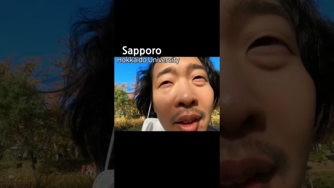 コーヒー一杯に溶け込む美しい日本の自然風景