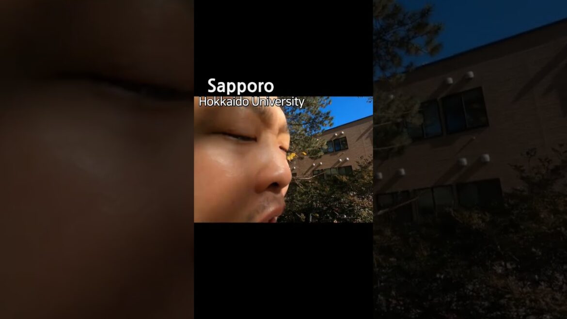 北海道大学の学生はどう恋愛をするかな