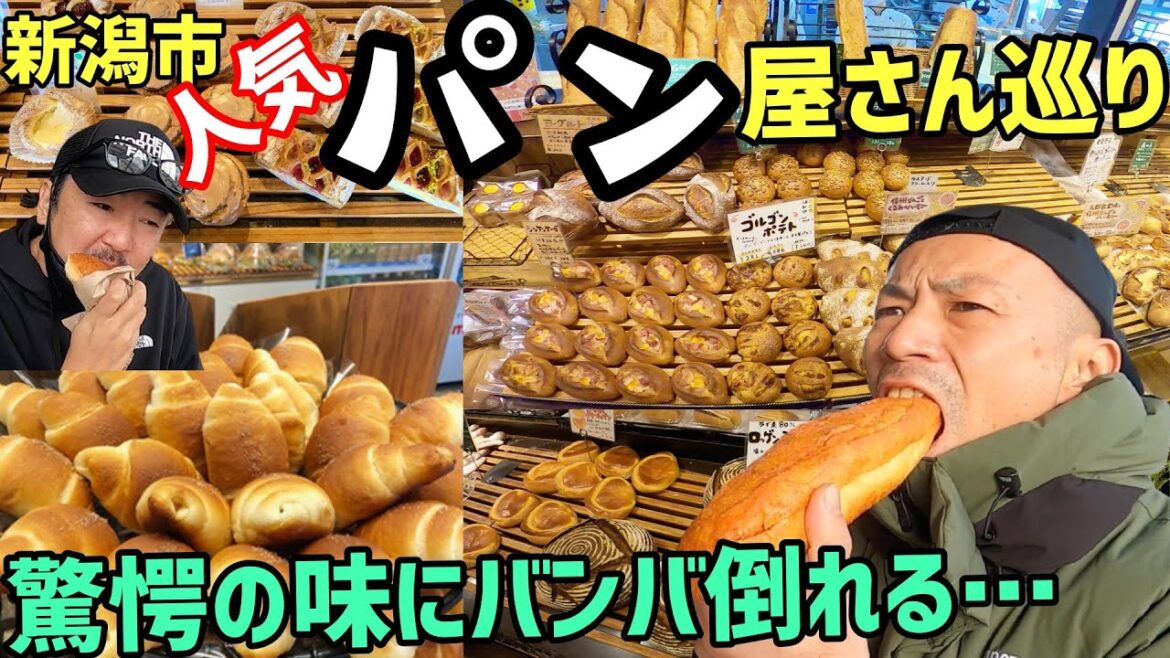 新潟市内の【人気パン屋】巡り 【中央区サフラン】【 秋葉区オウルザベーカリー】【 西区ハックルベリー】 各店の自慢の人気パンをいただく これが新潟だ This is NIIGATA 新潟市内の【人気パン屋】巡り 【中央区サフラン】【 秋葉区オウルザベーカリー】【 西区ハックルベリー】 各店の自慢の人気パンをいただく これが新潟だ This is NIIGATA