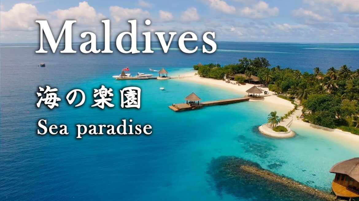 Maldives – 『モルディブ 海の楽園』 Sea paradise Maldives - 『モルディブ 海の楽園』 Sea paradise